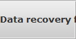 Data recovery for Silver City data